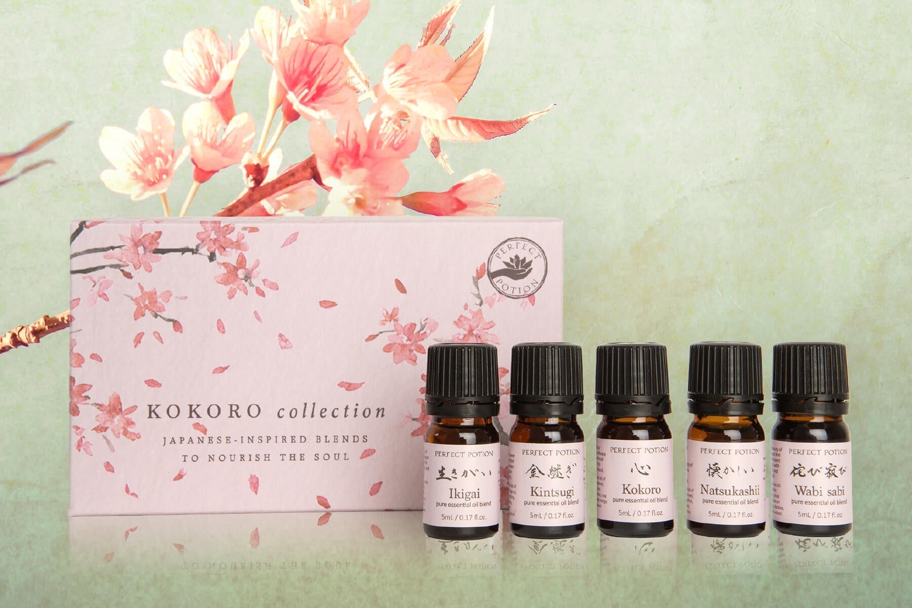 Behind the Kokoro Collection with Salvatore Battaglia