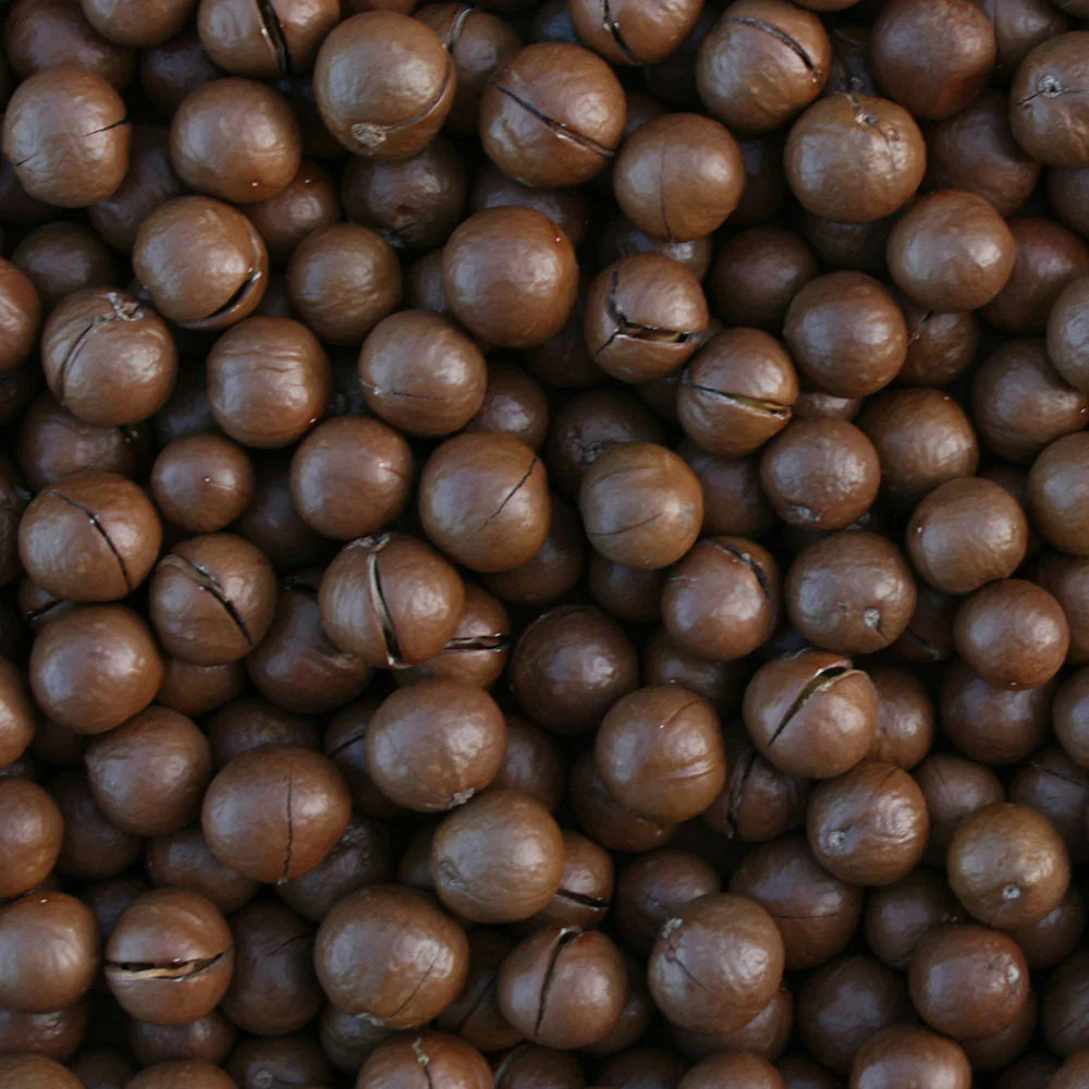 Macadamia Oil
