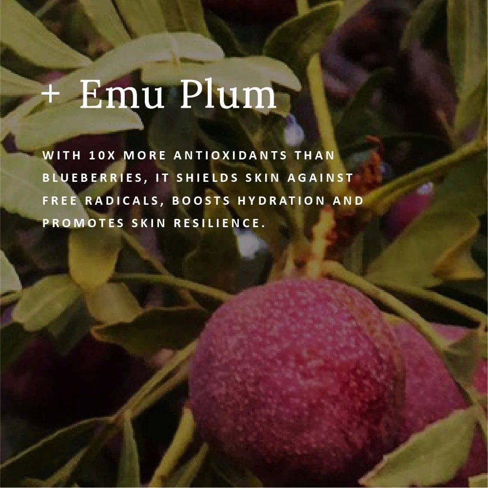 Replenish Ultra-Rich Moisture Cream