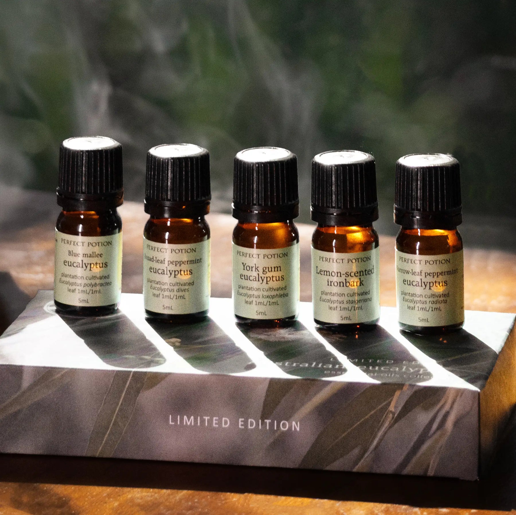 Australian Eucalyptus Essential Oils Collection