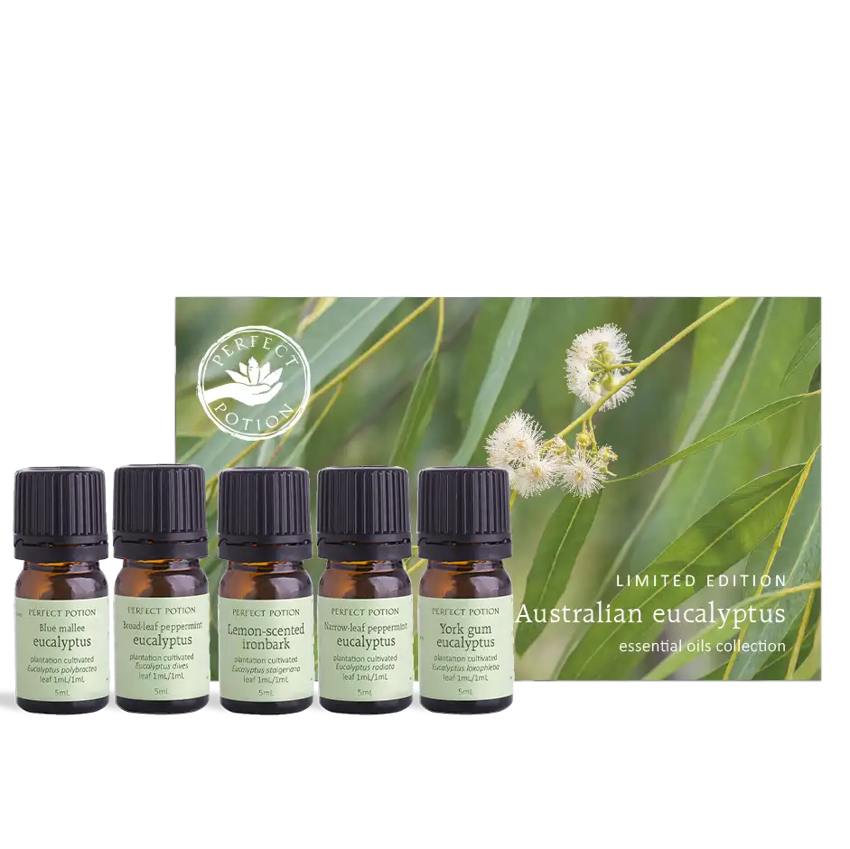Australian Eucalyptus Essential Oils Collection