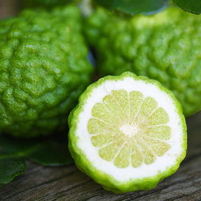 Bergamot Pure Essential Oil