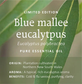 Australian Eucalyptus Essential Oils Collection