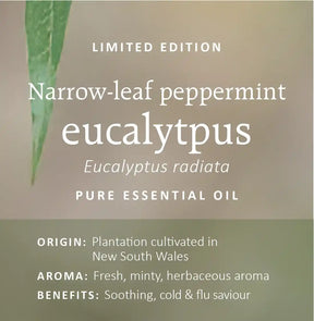 Australian Eucalyptus Essential Oils Collection